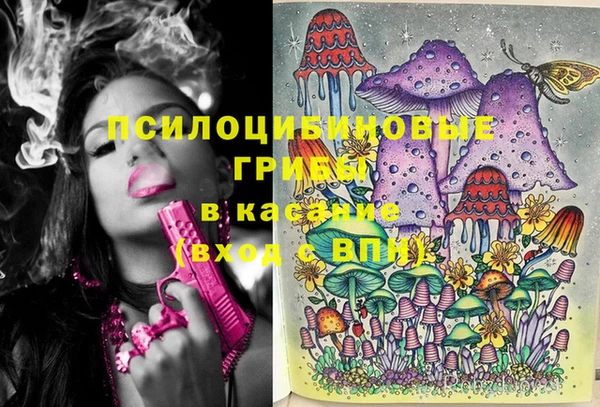 прущая мука Армянск